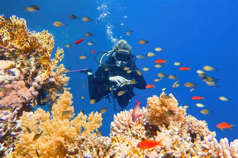 Best Diving Sites in Hurghada and Things to Do 2023