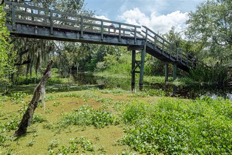 Barataria Preserve Near New Orleans - A Wildlife Preserve in the Deep ...