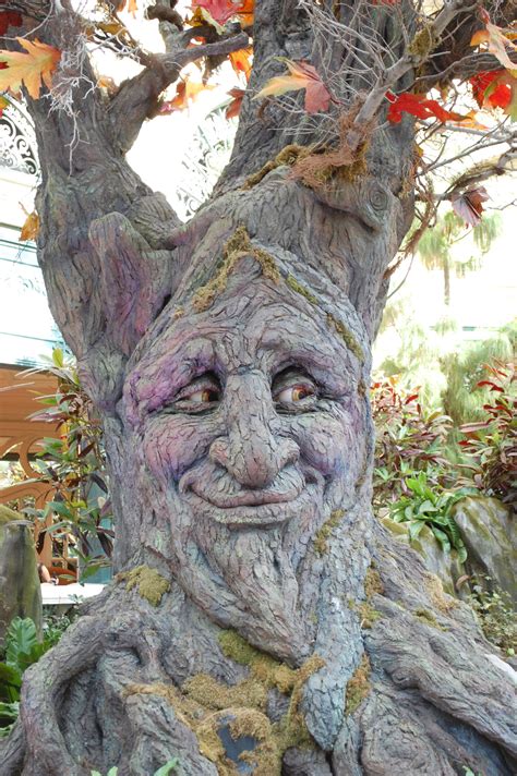 Fairy Garden, Garden Art, Weird Trees, Tree People, Tree Faces, Tree Carving, Unique Trees, Land ...