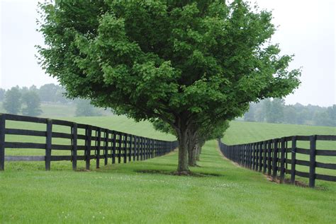 www.gainesway.com Gainesway Farm - Lexington, KY