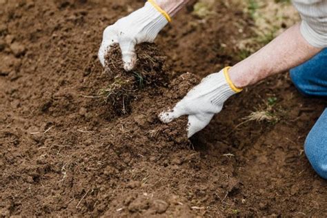 Soil Preparation: How Do You Prepare Garden Soil for Planting?