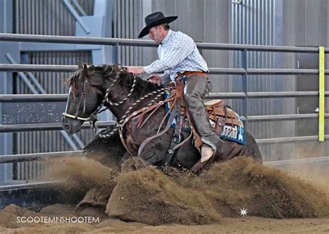 Montana Reined Cowhorse Futurity/Derby/Horse Shows - Majestic Valley Arena