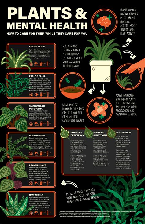 Plants & Mental Health Infographic on Behance