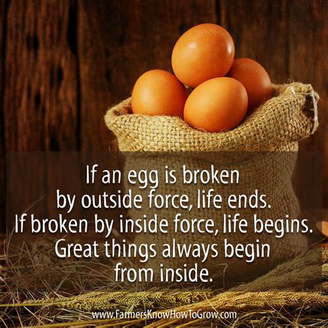 "If an egg is broken by outside force, life ends. If broken by inside force, life begins. Great ...