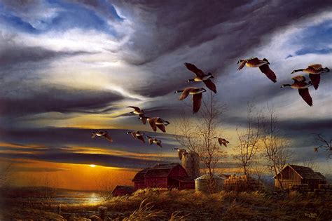 Ducks Flying Wallpaper - WallpaperSafari