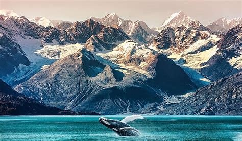 Glacier Bay National Park - WorldAtlas