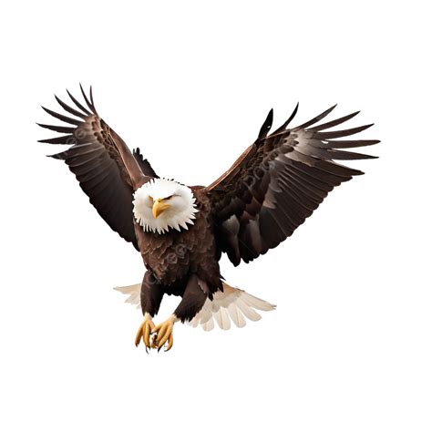 Graceful Bald Eagle In Mid Air Aerial Dance Amidst The Wilderness Transparent Background, Eagle ...