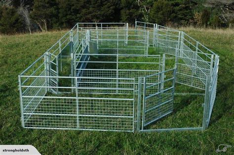 Sheep yard panels, gates and drafting race | Goat fence, Goats, Sheep