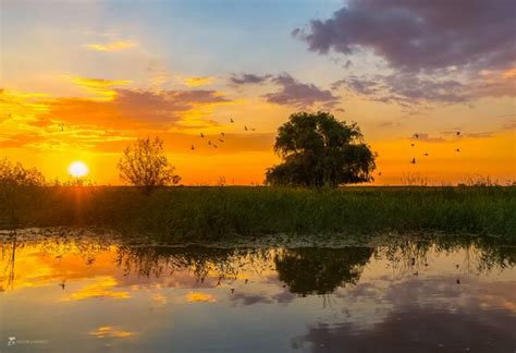 Colorful summer sunset in the Volga River delta · Russia Travel Blog