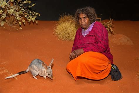 The Easter bilby vs bunny: why do we celebrate a devastating pest ...