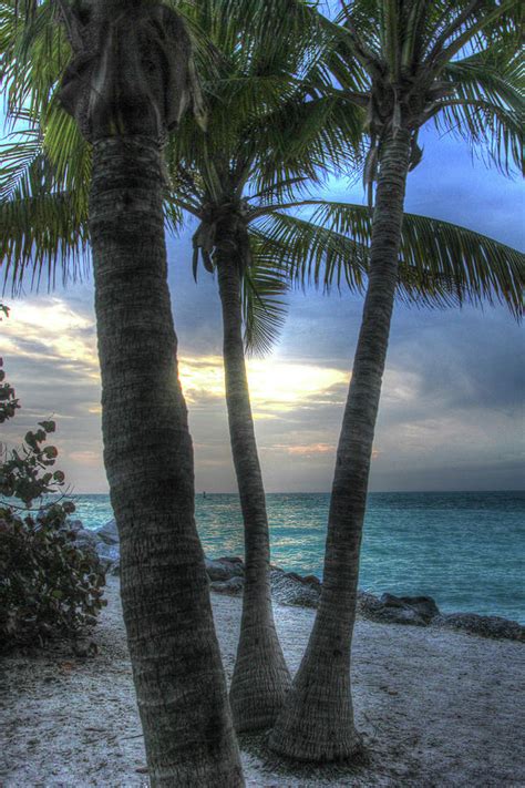 Smathers Beach Sunrise Vertical 2 Photograph by Robert Goldwitz - Fine Art America