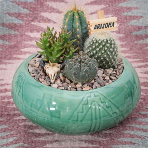 Southwest Cactus Garden - 5 inch - Arizona Gifts