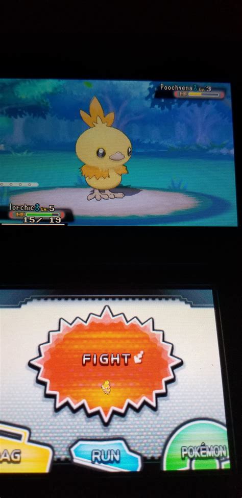 [6] Shiny Torchic after 4000-5000 SRs. Took about 3 months of on and ...