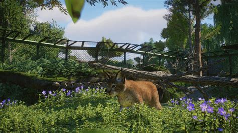 The Black Forest Wildlife Reserve is done - some screens of the tour! : r/PlanetZoo