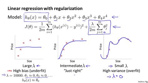 regularization machine learning l1 l2 - Toccara Slack