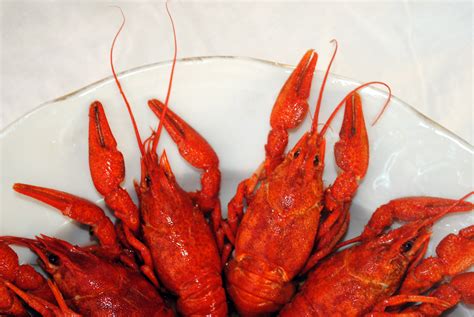 Free Images : crayfish, wooden, decapoda, animal source foods, crustacean, seafood boil, cajun ...