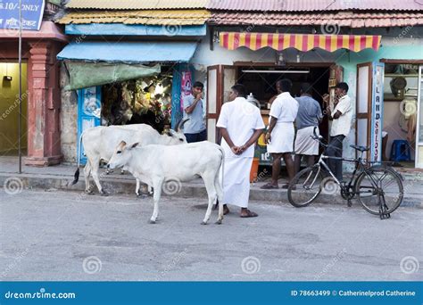 Documentary Image. Rameswaram Pilgrimage Editorial Stock Image - Image ...