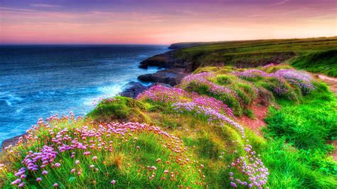 Landscape Ocean Shore Sea Green Grass, Spring Flowers Dunmore East Holiday Park Ireland Hd ...