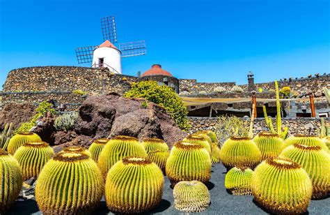 JARDÍN DE CACTUS (LANZAROTE) | El Baúl | EL MUNDO