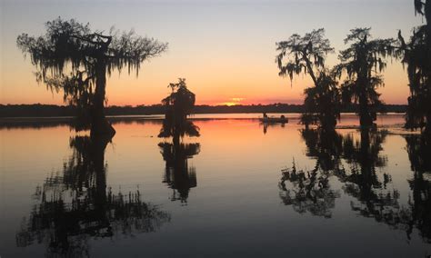 Welcome to Louisiana Swamp Tours