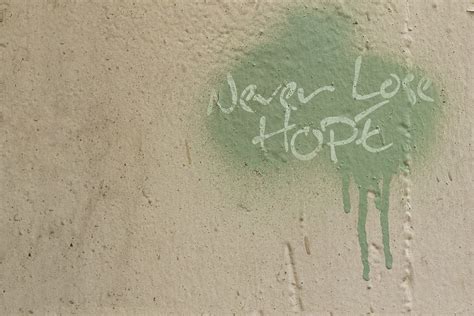 never, lose, hope graffiti, graffiti, quote, hope, inspiration ...