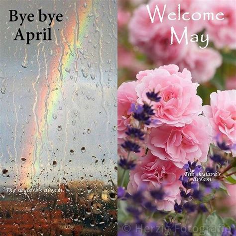 Welcome May | Hello april, Spring wallpaper, April photo challenge