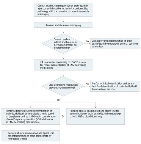 Determination of Brain Death/Death by Neurologic Criteria: The World Brain Death Project ...