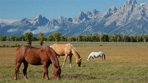 10 Biggest Ranches in Wyoming