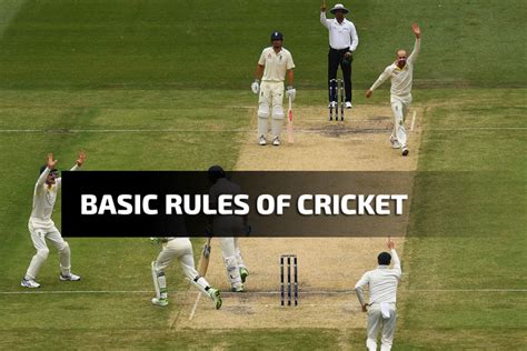 The Basic Rules of Cricket. Learn How To Play Cricket