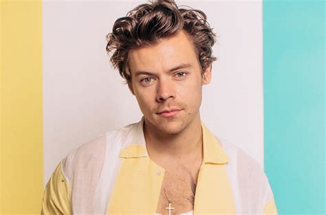 Is harry styles gay 2019 - pbvvti