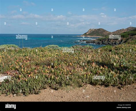 the Island of corsica Stock Photo - Alamy