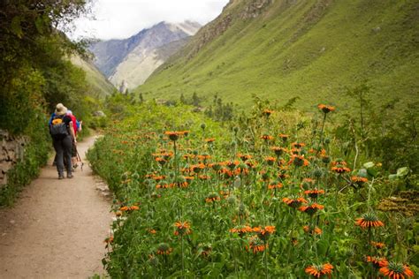 Is the Hiking Trail Near Me Good Enough? What You Need to Know About Hiking Trails