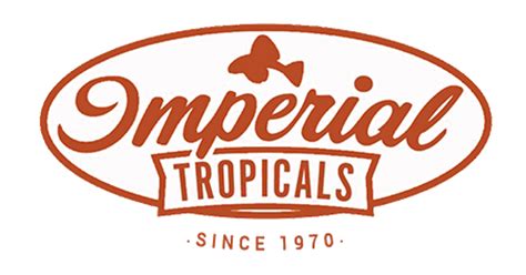 Imperial Tropicals - Buy aquarium fish direct from the breeder