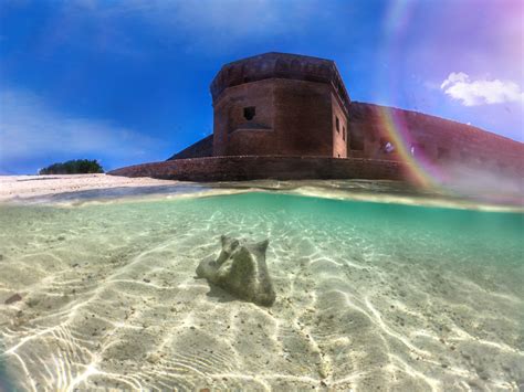 Exploring Dry Tortugas National Park - Westchase WOW