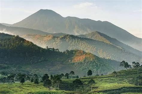 10 Tempat wisata di Puncak Bogor yang bisa kamu kunjungi akhir pekan ...