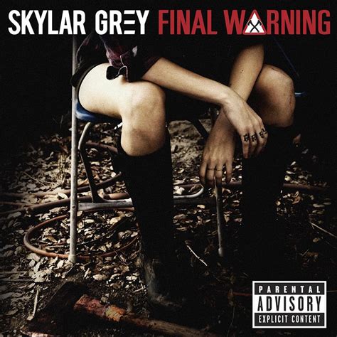 Skylar Grey – Final Warning Lyrics | Genius Lyrics