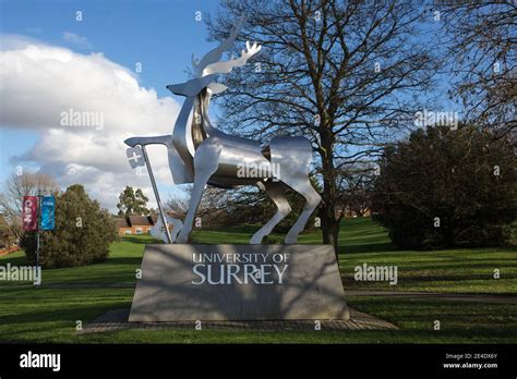 Guildford university hi-res stock photography and images - Alamy