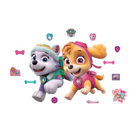 [100+] Skye Paw Patrol Wallpapers | Wallpapers.com