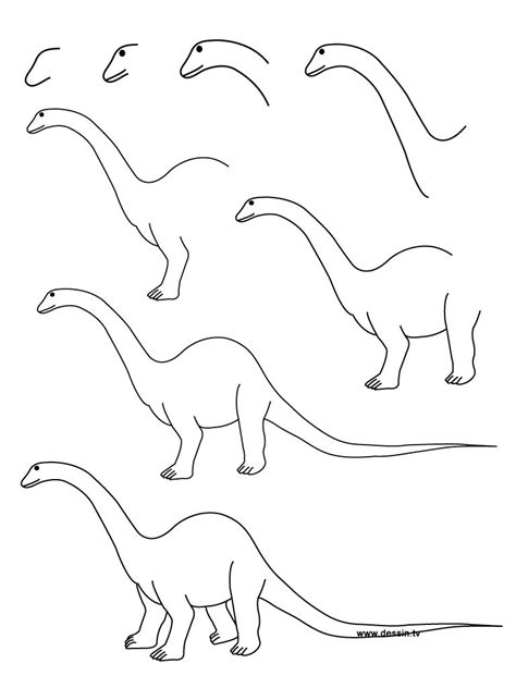 Drawing diplodocus | Easy dinosaur drawing, Dinosaur drawing, Easy drawings