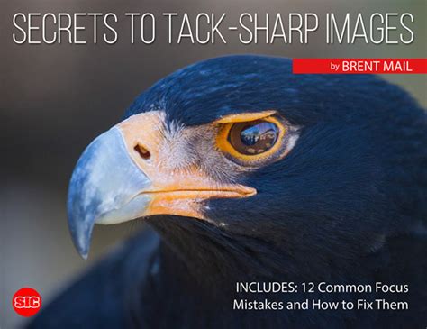 Secrets to Tack-Sharp Images Guide