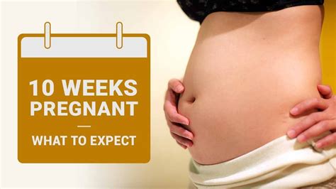 10 Weeks Pregnant - What To Expect? - YouTube