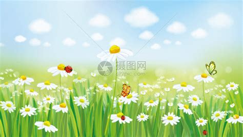 春暖花开gif动图图片-正版gif素材401004653-摄图网