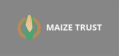 Maize Trust: Bursaries 2023 | South African Students Bursaries