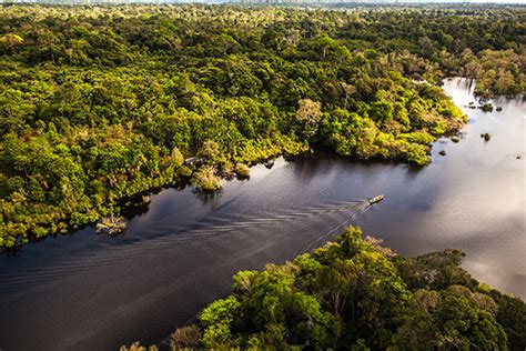 Manaus Brazil, the Amazon and Beyond • EcoAmerica ToursEcoAmerica Tours