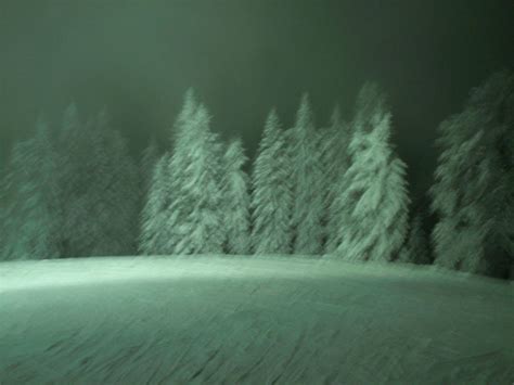 Snowed trees in the night v2 by LovePikaNizzy on DeviantArt