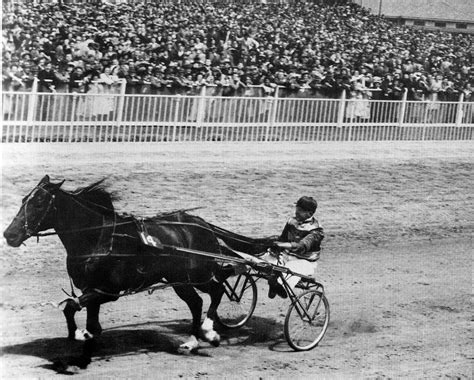 NEW ZEALAND TROTTING CUP – HANDICAPPED HORSES AND BACKMARKERS - Harnessbred.com