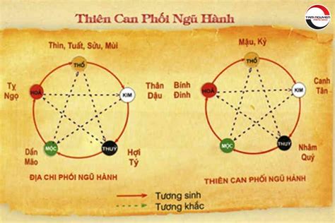 Bát Tự là gì? Ứng dụng Bát Tự - Tứ Trụ luận đoán vận mệnh