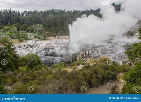 Taupo geothermal park stock image. Image of activity - 116442427