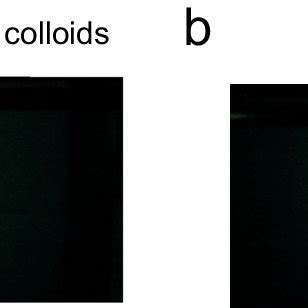 Optical properties of the colloidal solution. (a) Colloids are... | Download Scientific Diagram