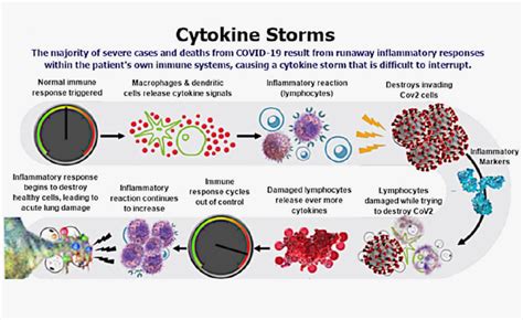 COVID-19 infection leads to cytokine storm - Health Vision